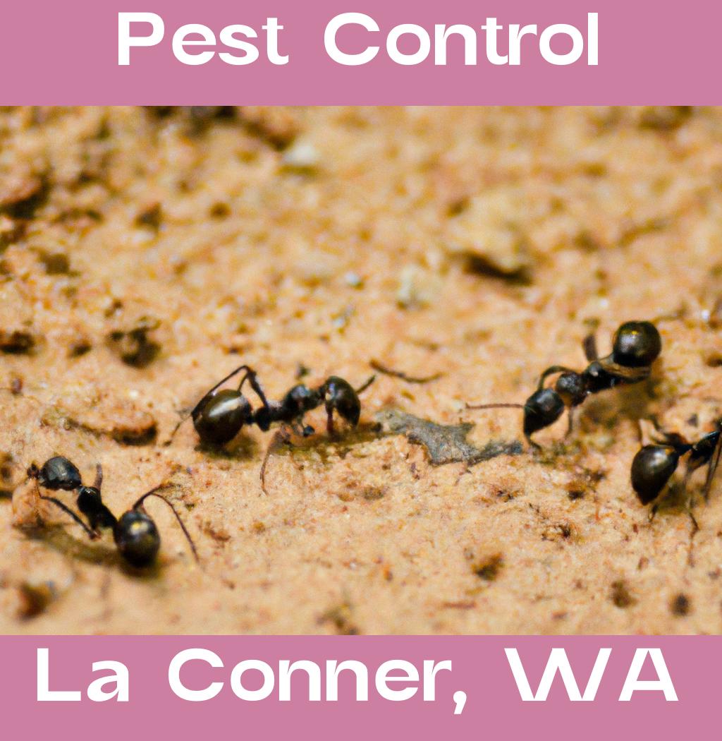pest control in La Conner Washington