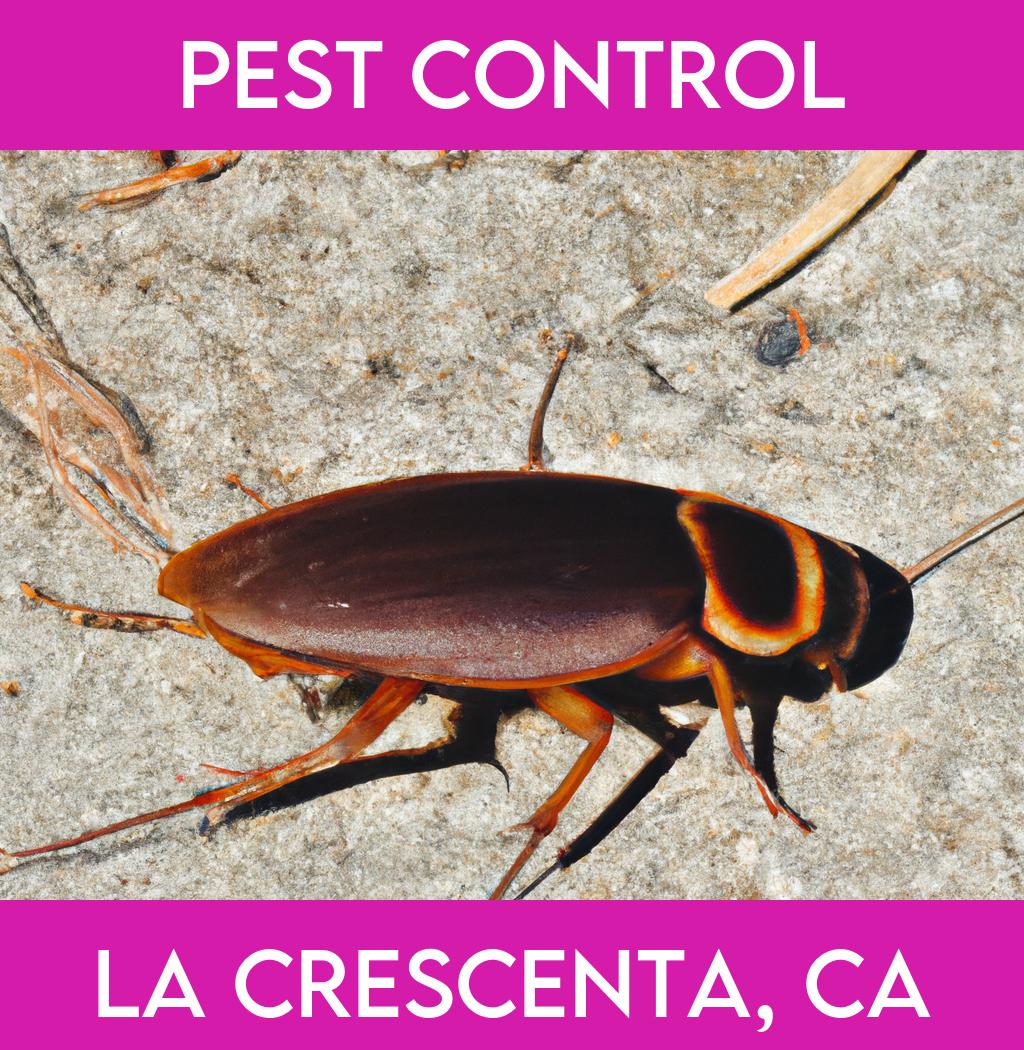 pest control in La Crescenta California