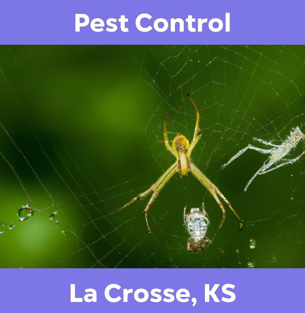 pest control in La Crosse Kansas