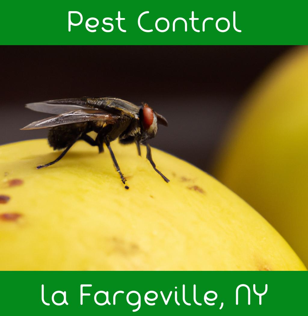 pest control in La Fargeville New York