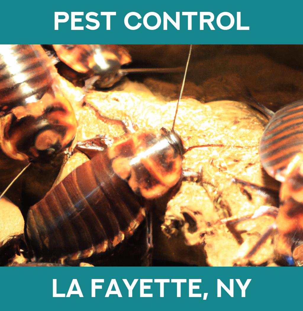 pest control in La Fayette New York