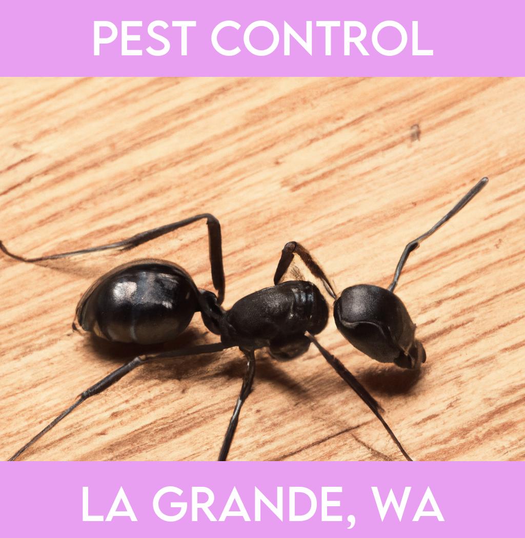 pest control in La Grande Washington