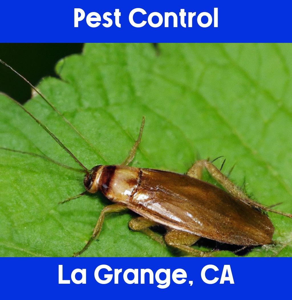 pest control in La Grange California