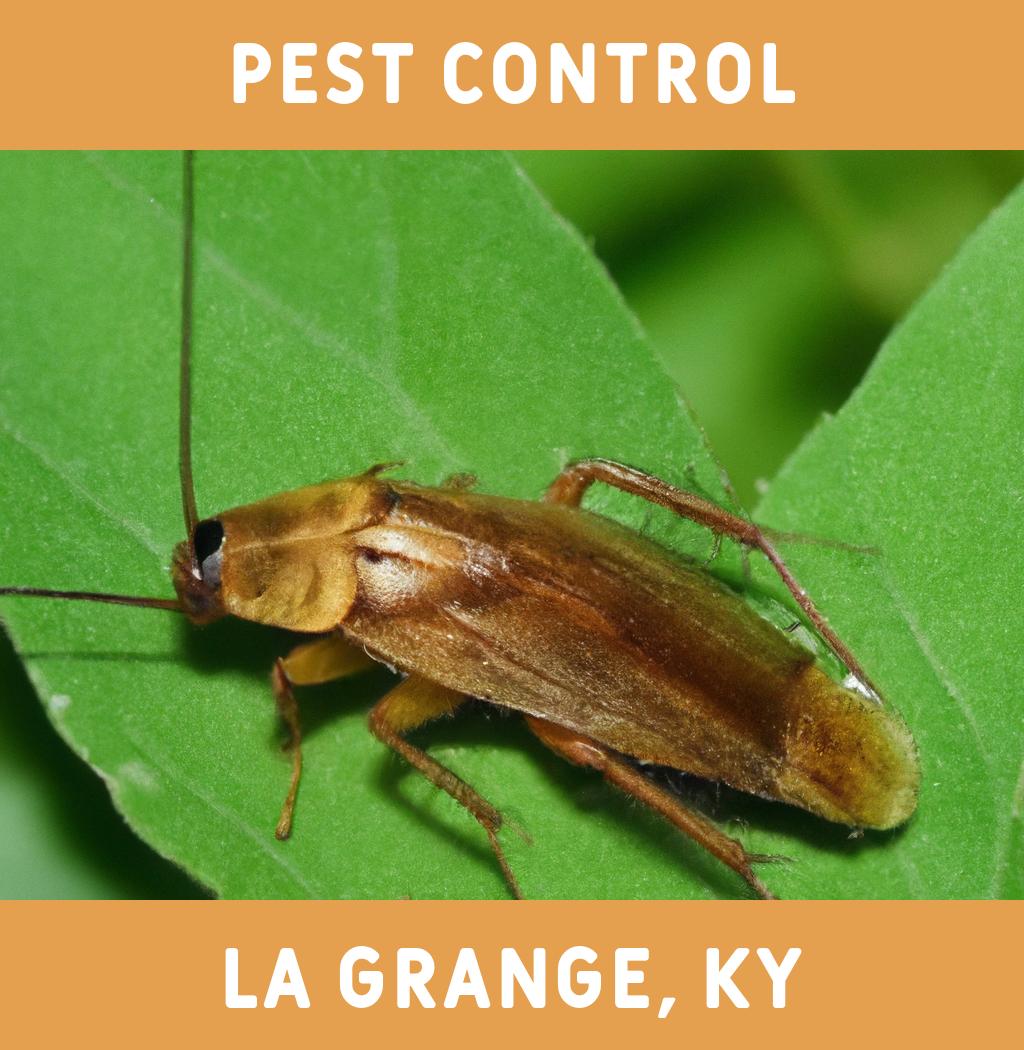 pest control in La Grange Kentucky