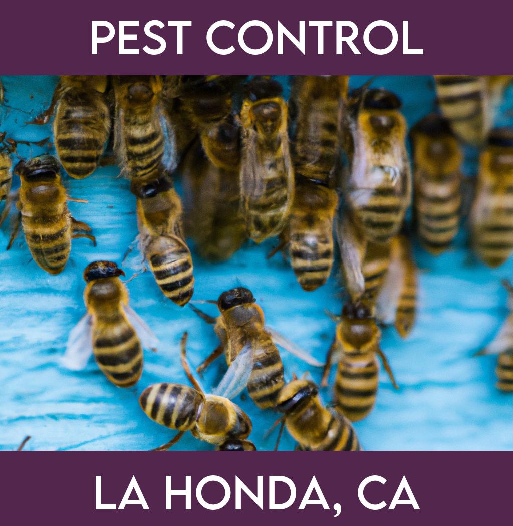 pest control in La Honda California