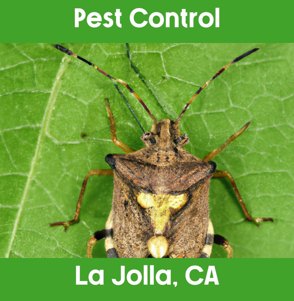 pest control in La Jolla California