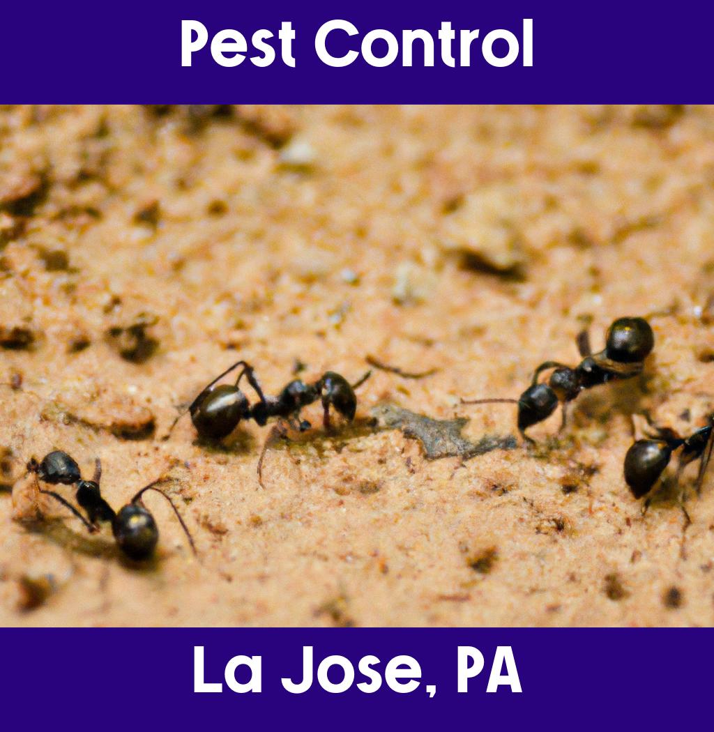 pest control in La Jose Pennsylvania