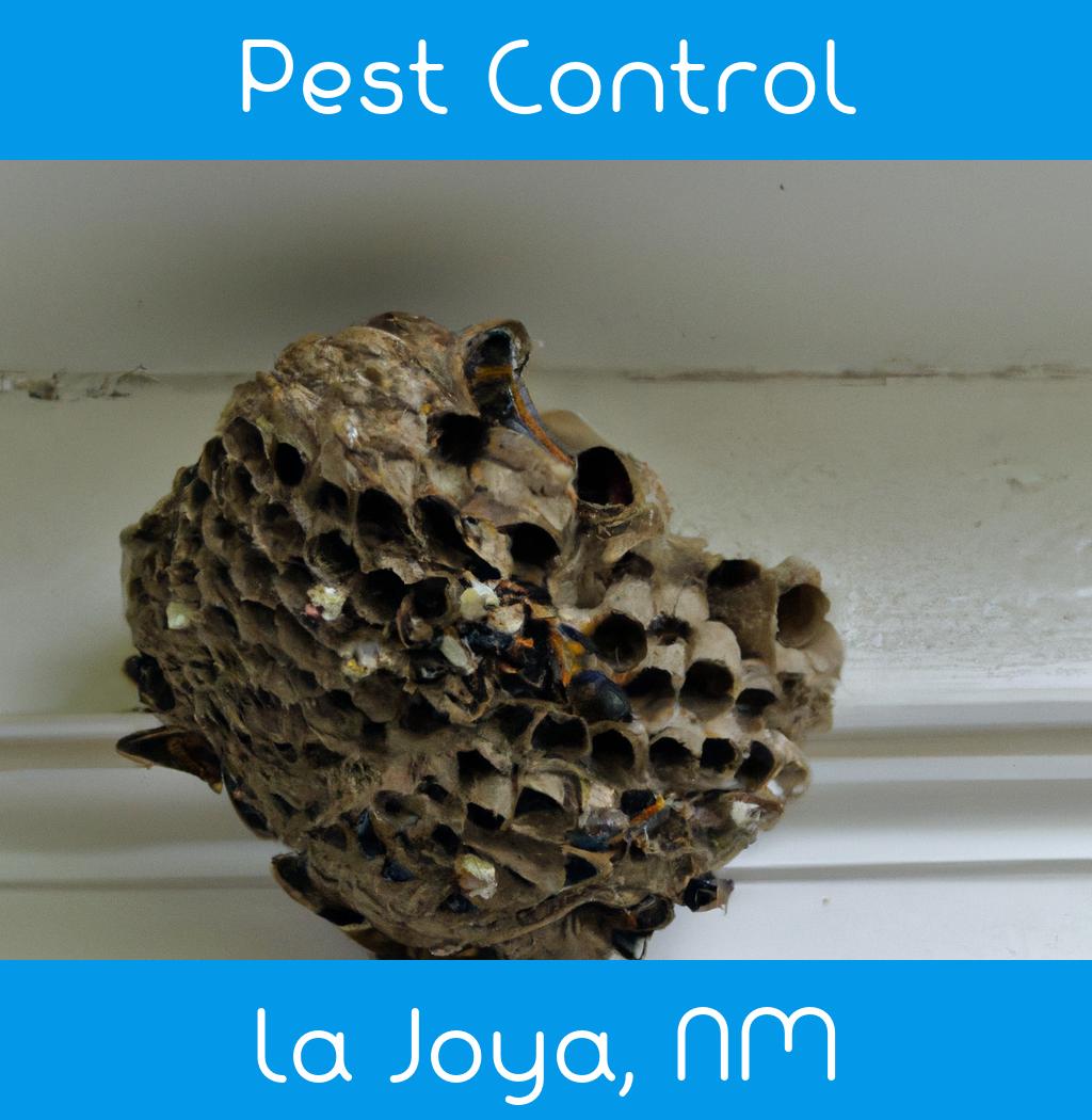 pest control in La Joya New Mexico