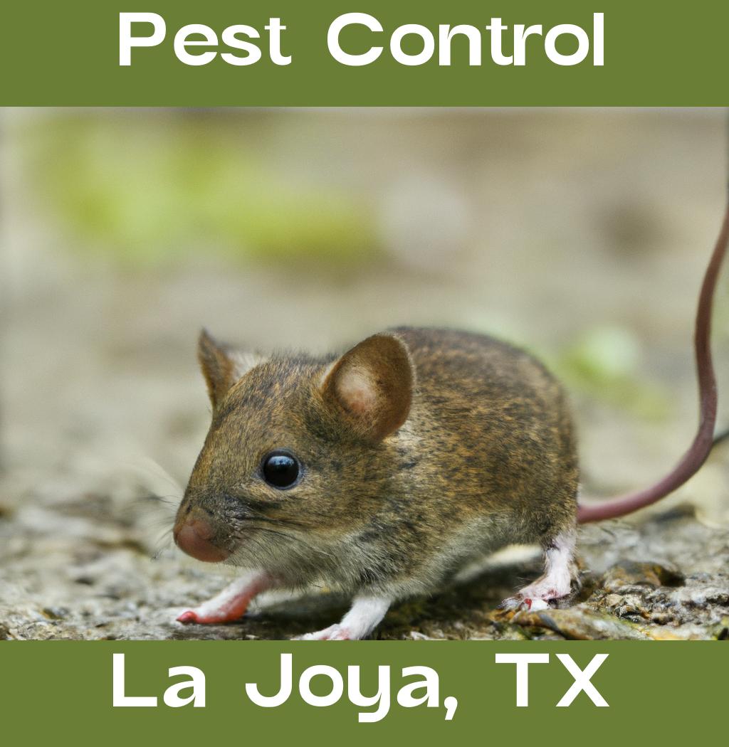 pest control in La Joya Texas