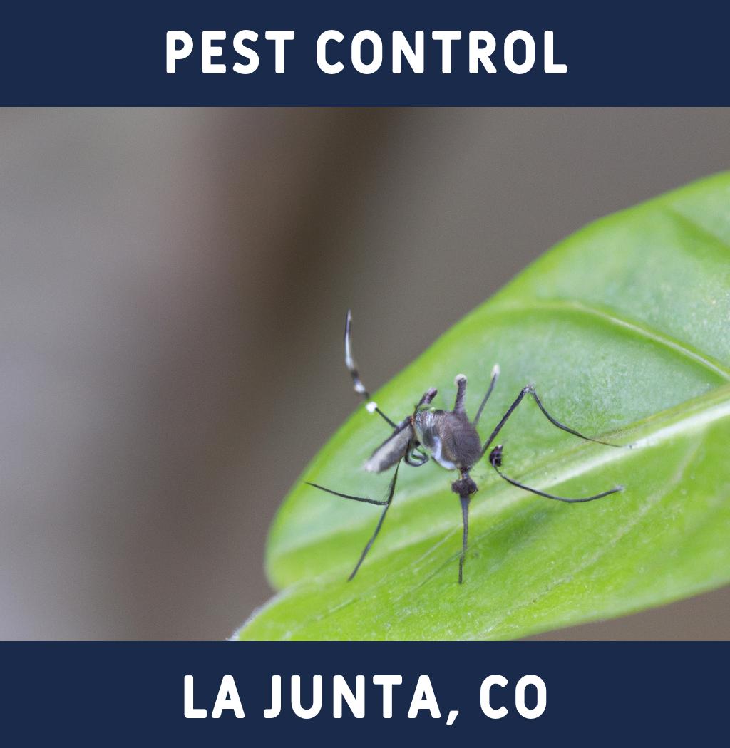 pest control in La Junta Colorado
