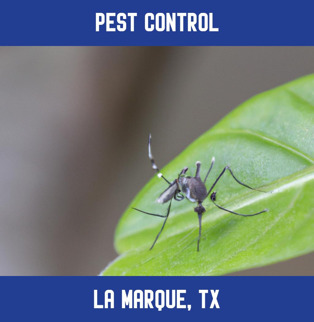 pest control in La Marque Texas