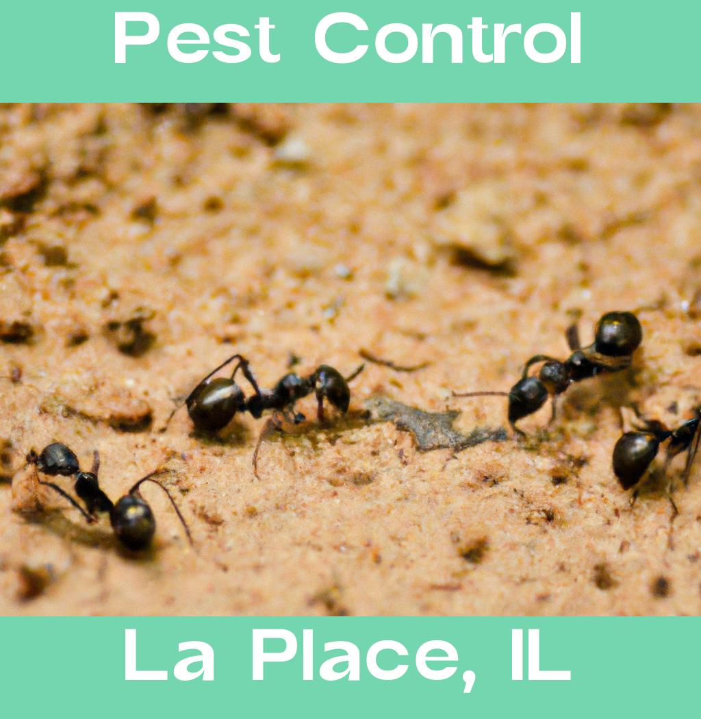 pest control in La Place Illinois