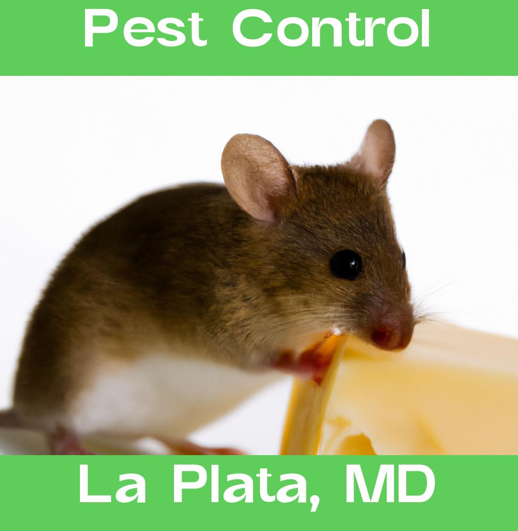 pest control in La Plata Maryland
