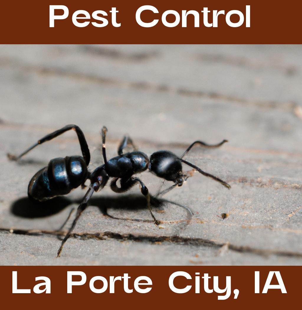 pest control in La Porte City Iowa