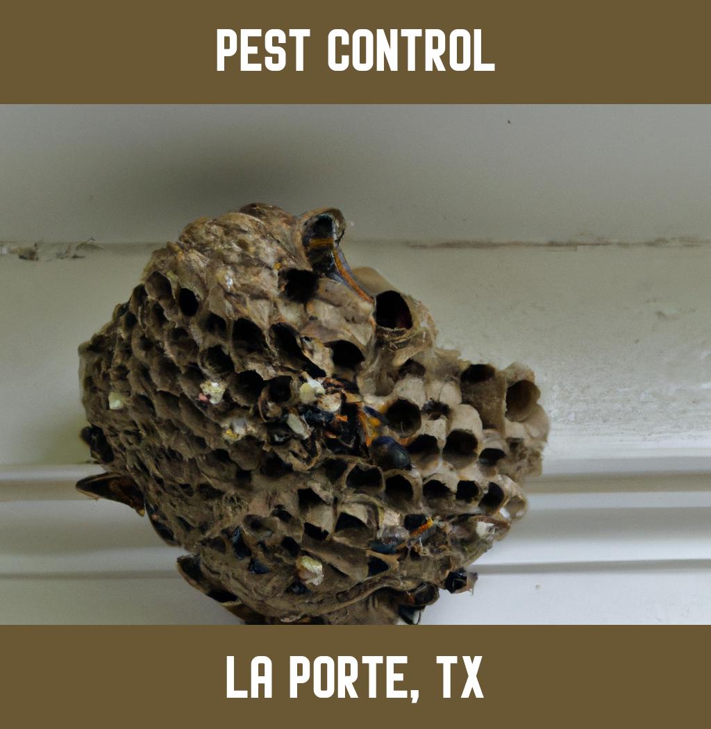 pest control in La Porte Texas