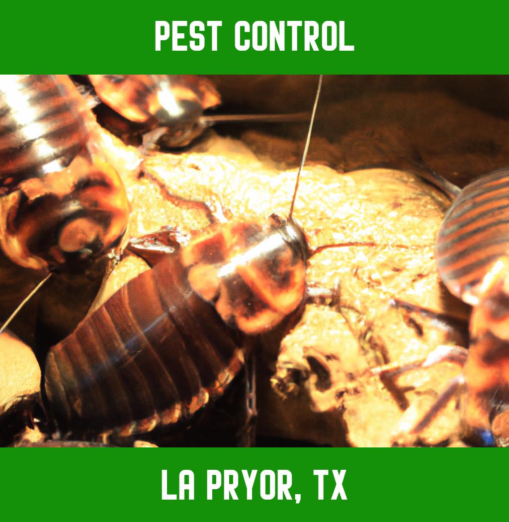 pest control in La Pryor Texas