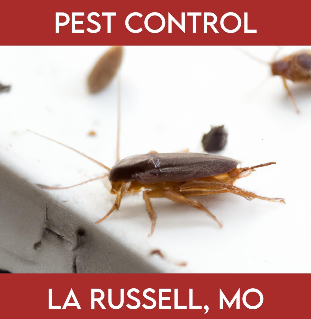 pest control in La Russell Missouri