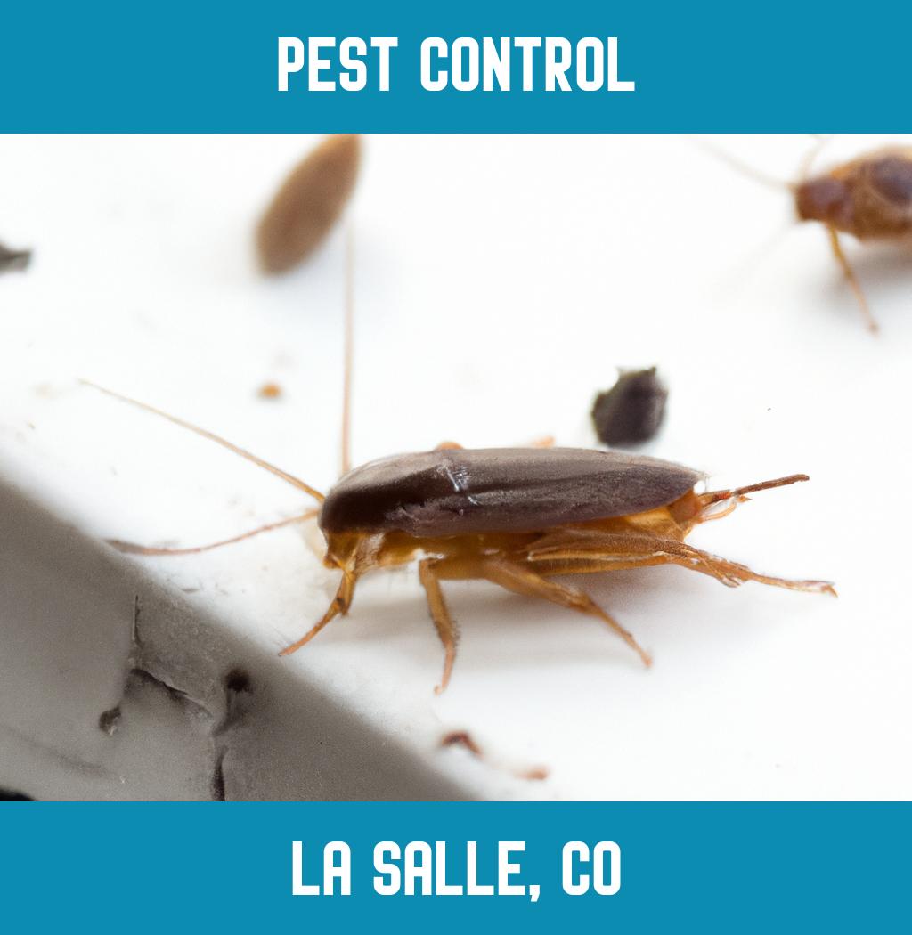 pest control in La Salle Colorado