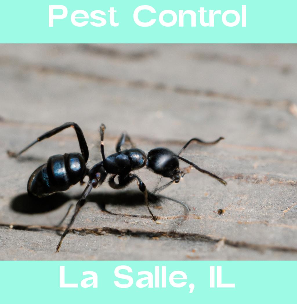 pest control in La Salle Illinois