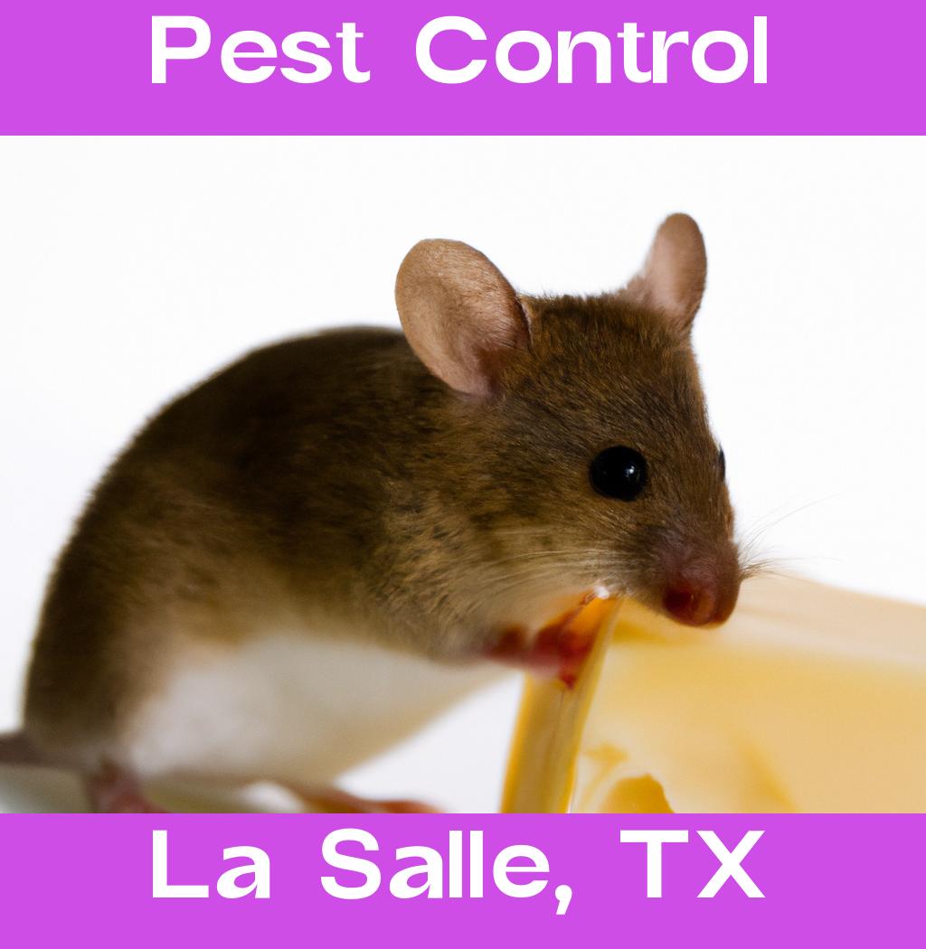 pest control in La Salle Texas