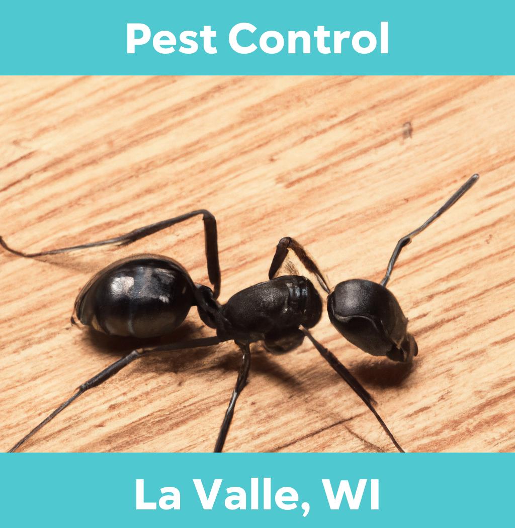 pest control in La Valle Wisconsin