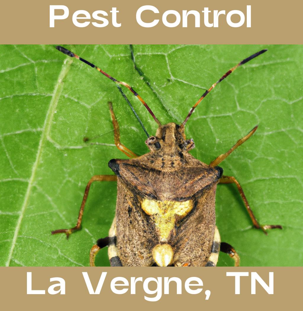 pest control in La Vergne Tennessee