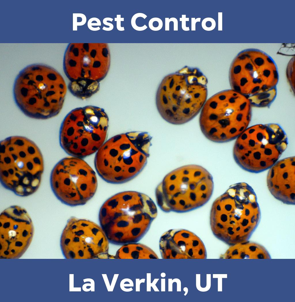 pest control in La Verkin Utah