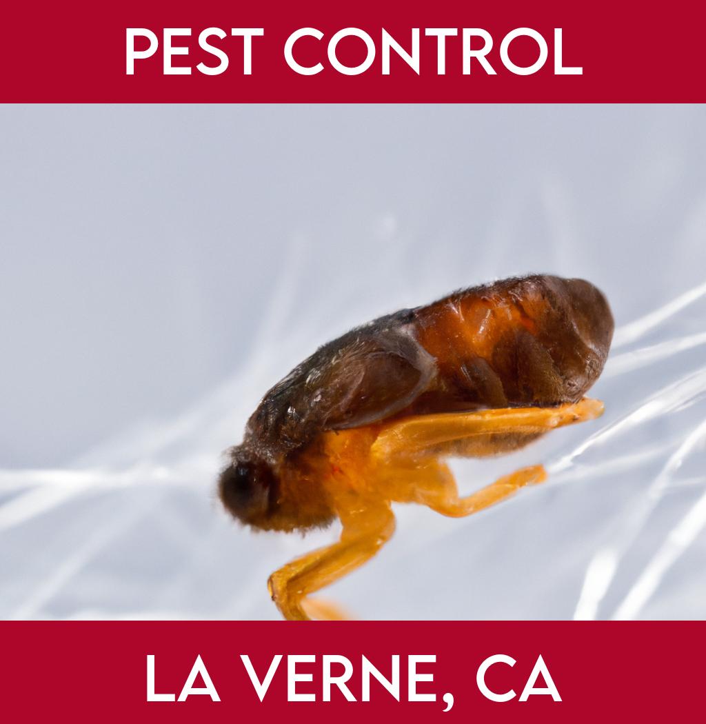 pest control in La Verne California
