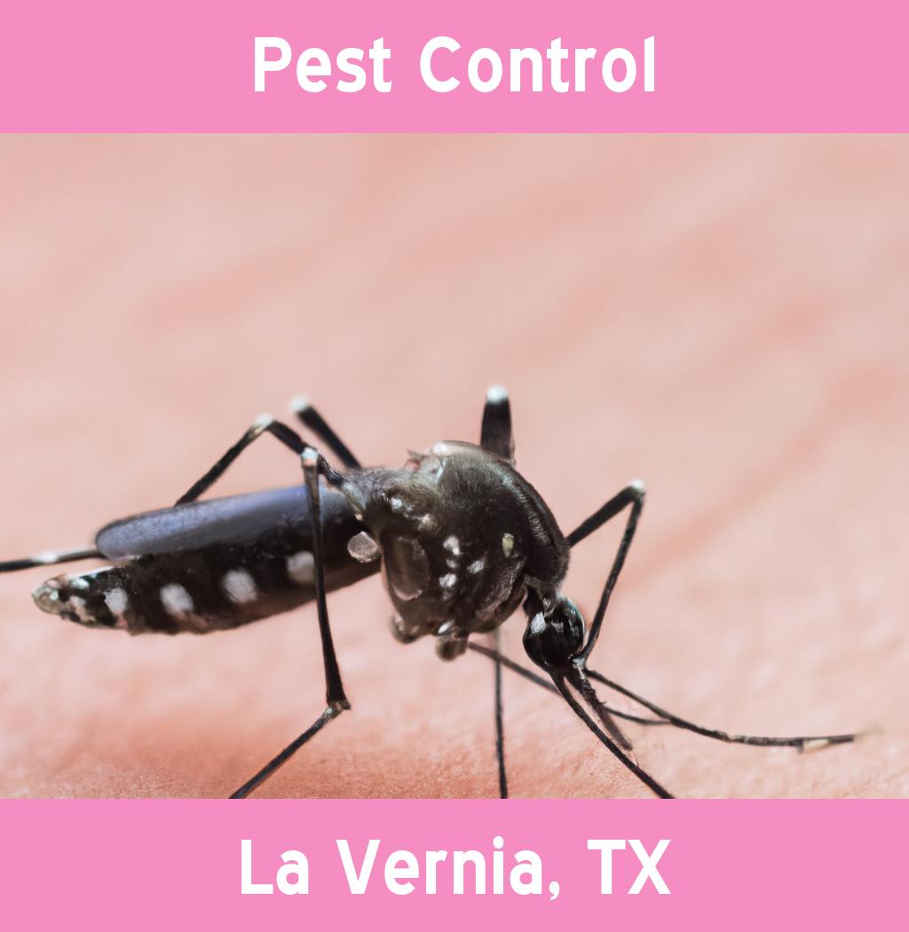 pest control in La Vernia Texas