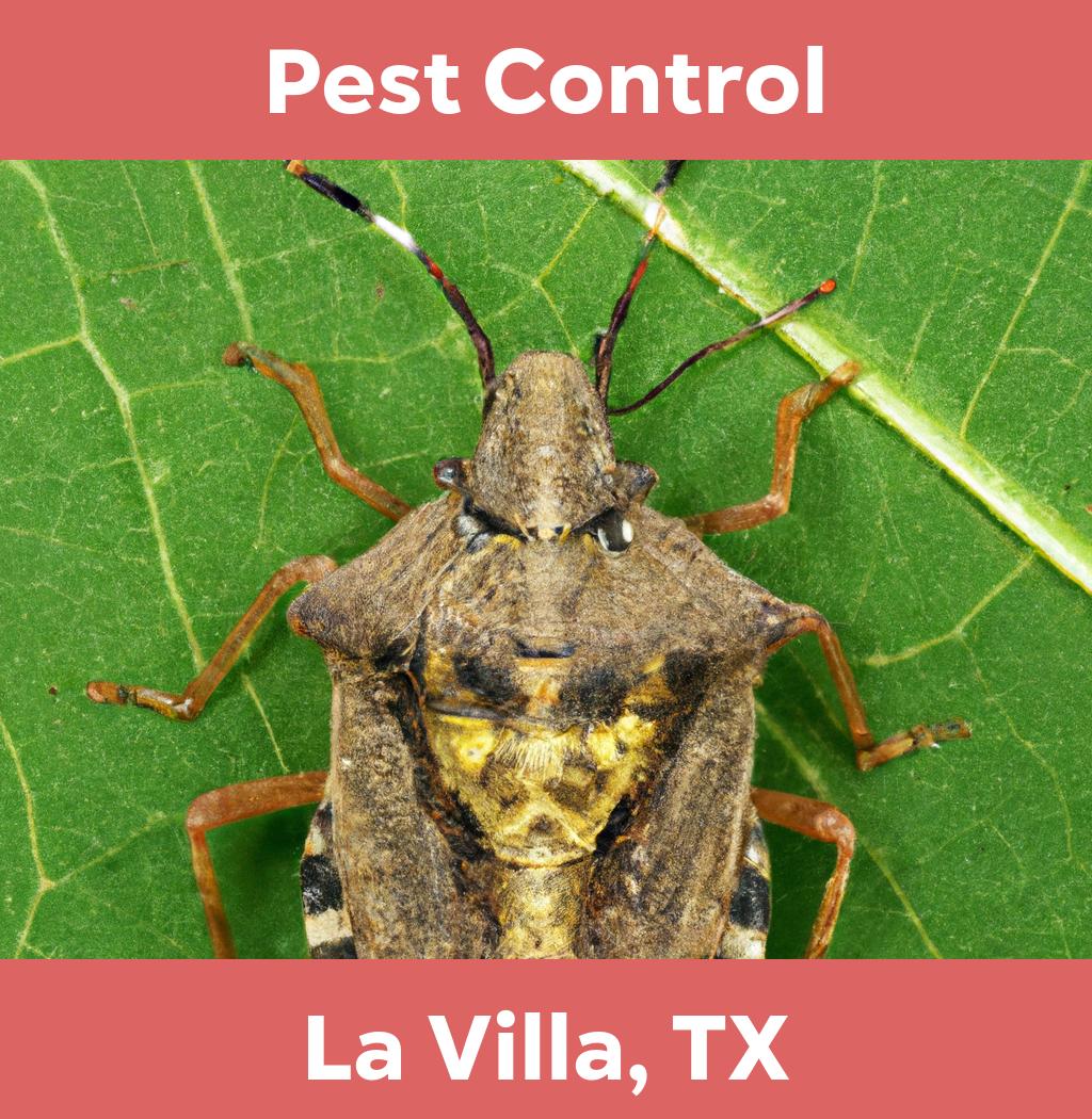 pest control in La Villa Texas