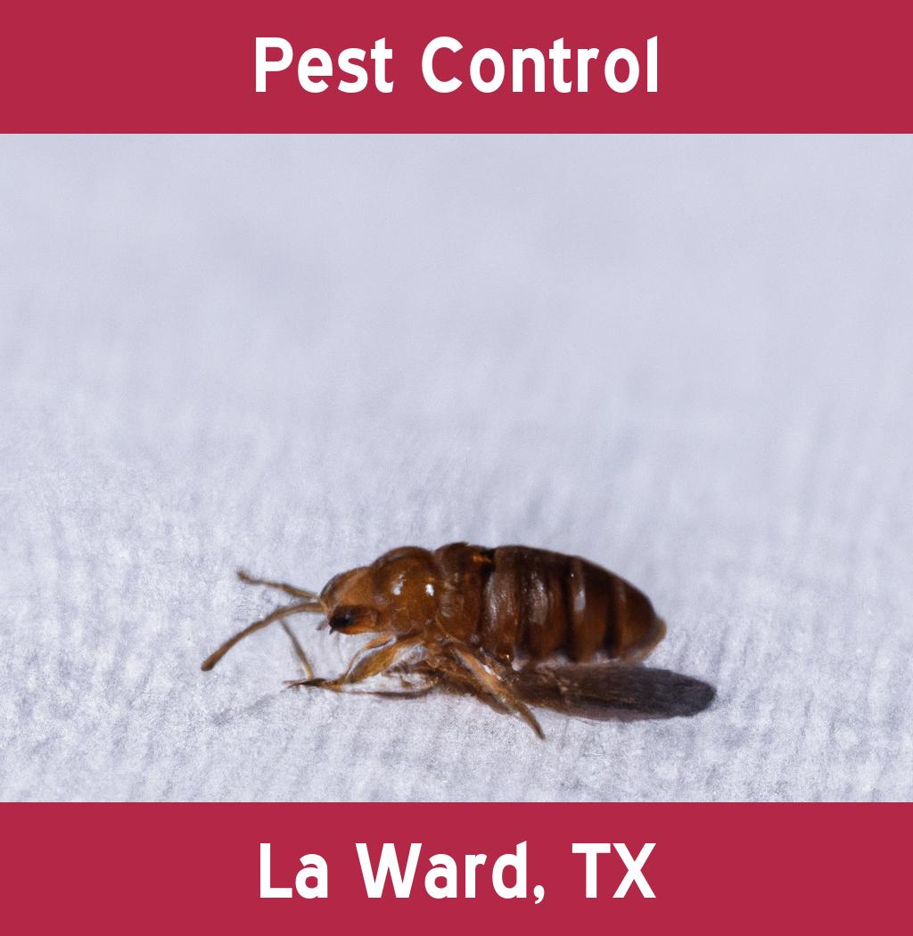 pest control in La Ward Texas