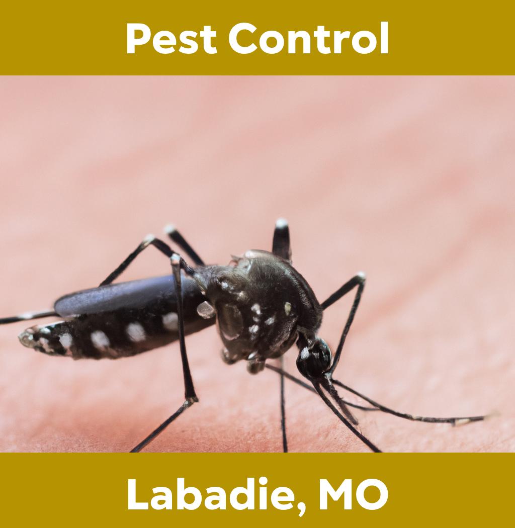pest control in Labadie Missouri