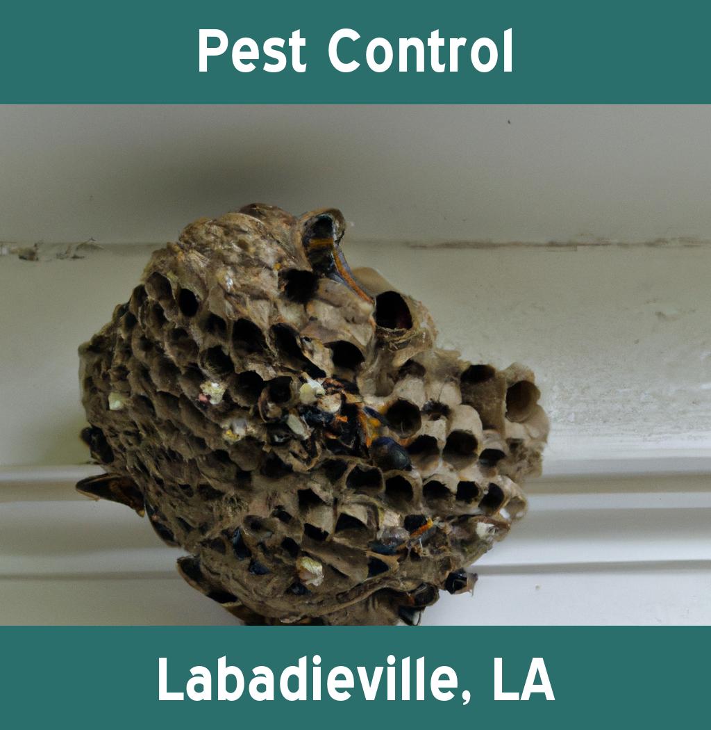 pest control in Labadieville Louisiana