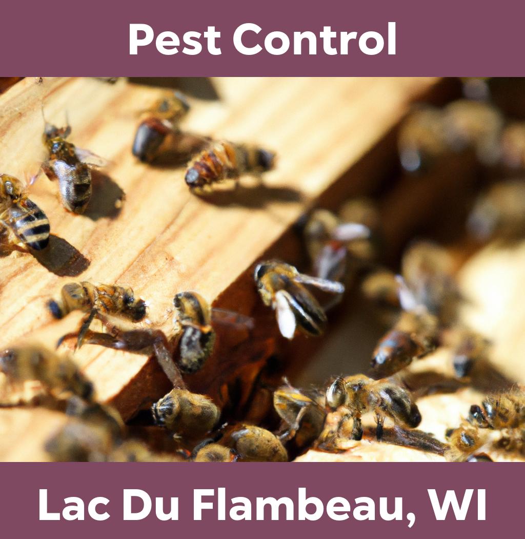 pest control in Lac Du Flambeau Wisconsin