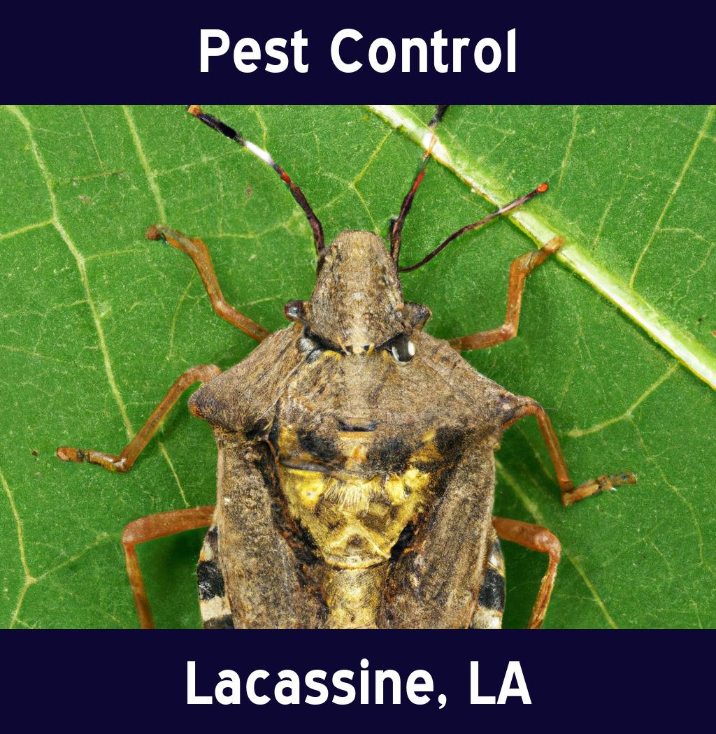 pest control in Lacassine Louisiana