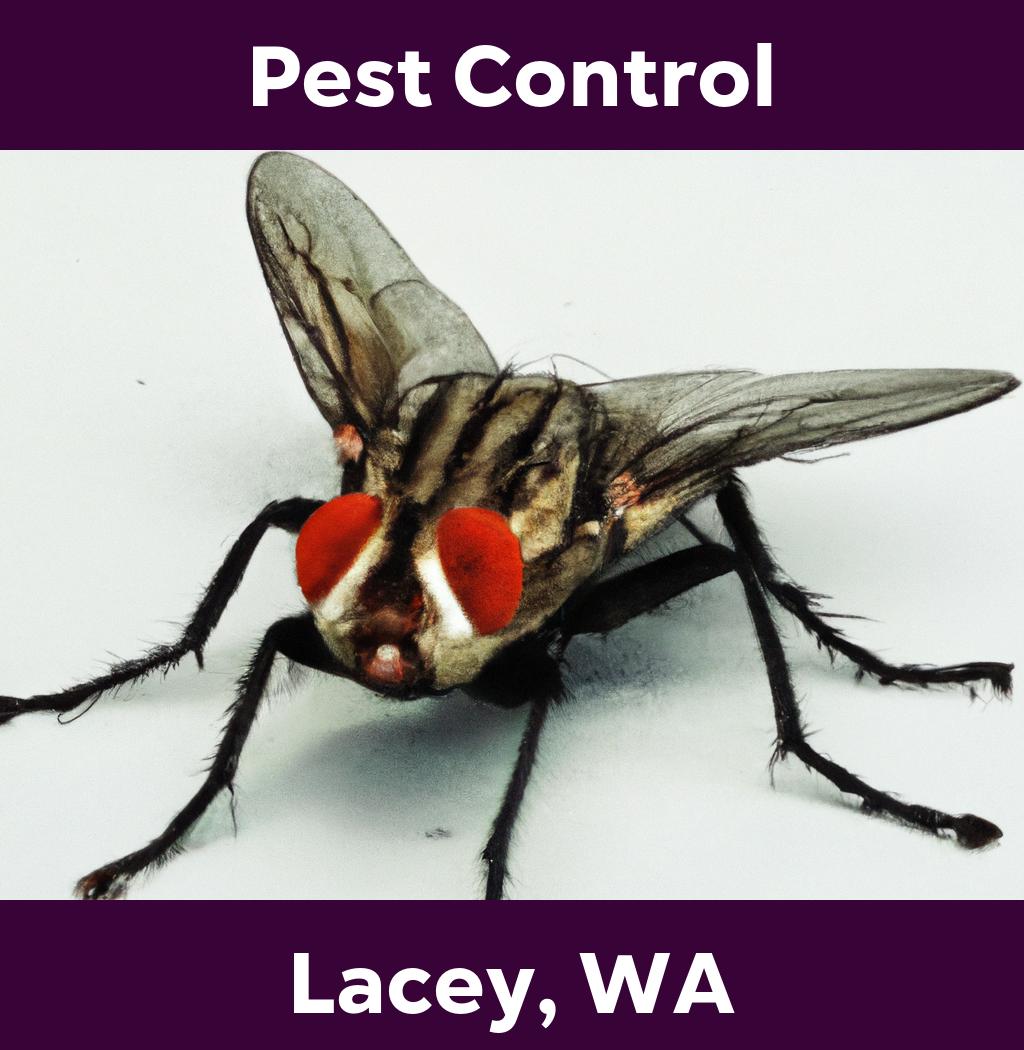 pest control in Lacey Washington