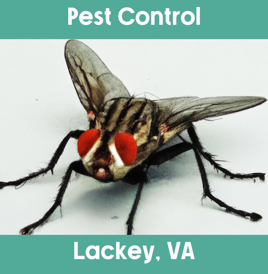 pest control in Lackey Virginia