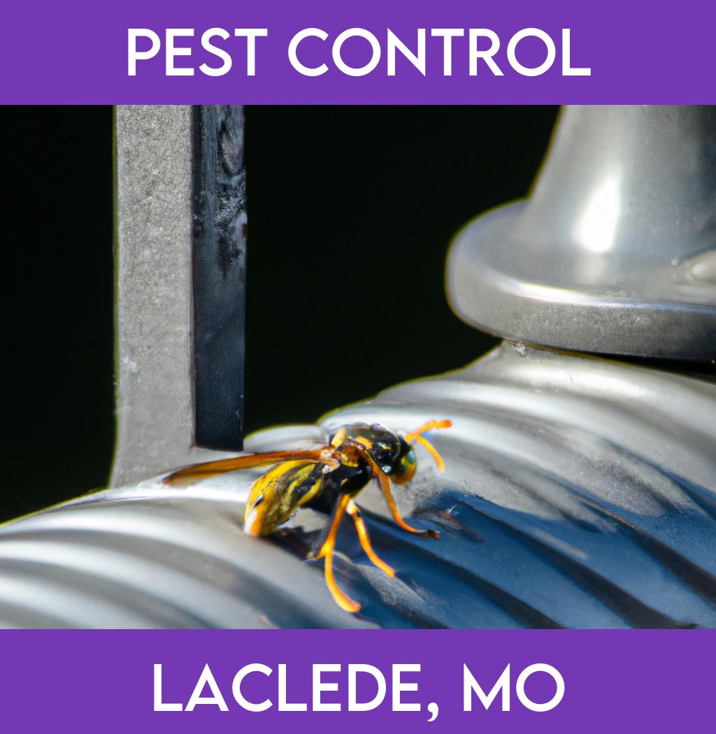 pest control in Laclede Missouri