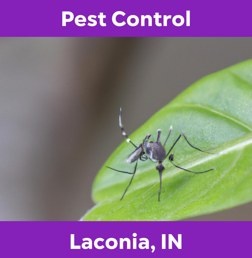 pest control in Laconia Indiana