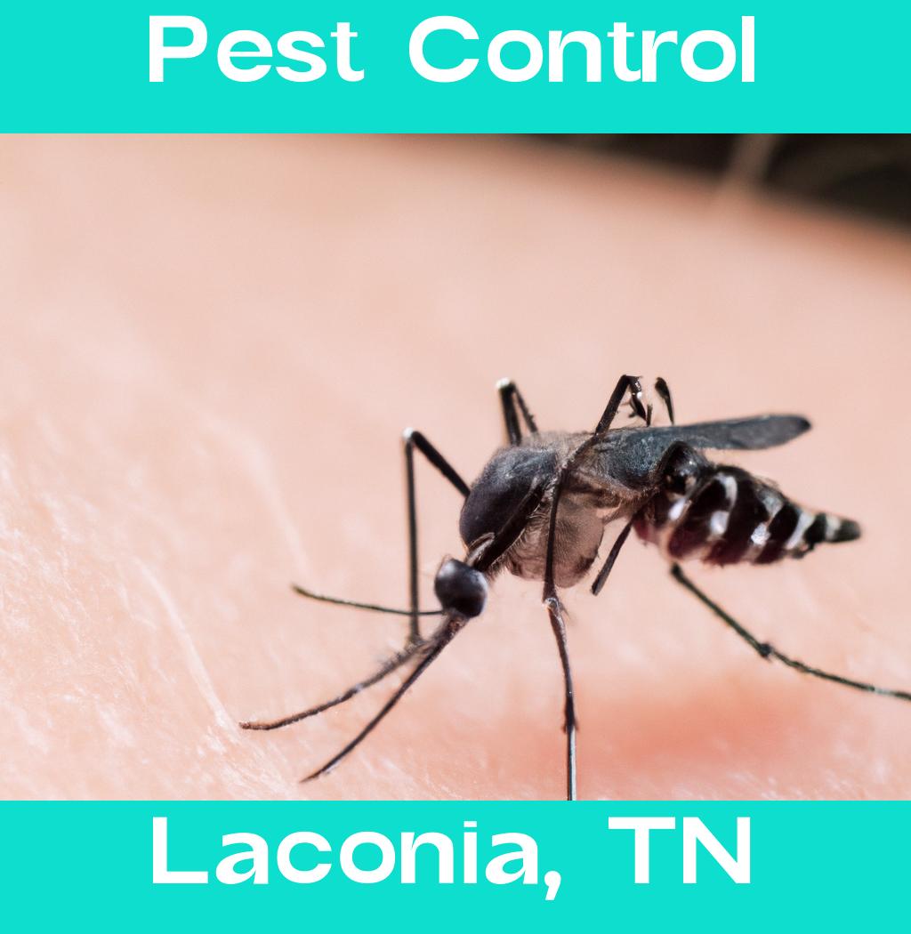 pest control in Laconia Tennessee