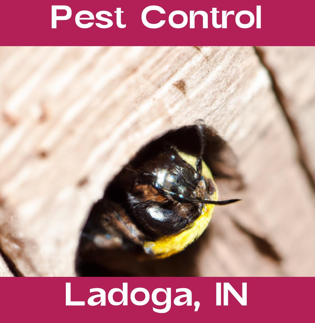 pest control in Ladoga Indiana