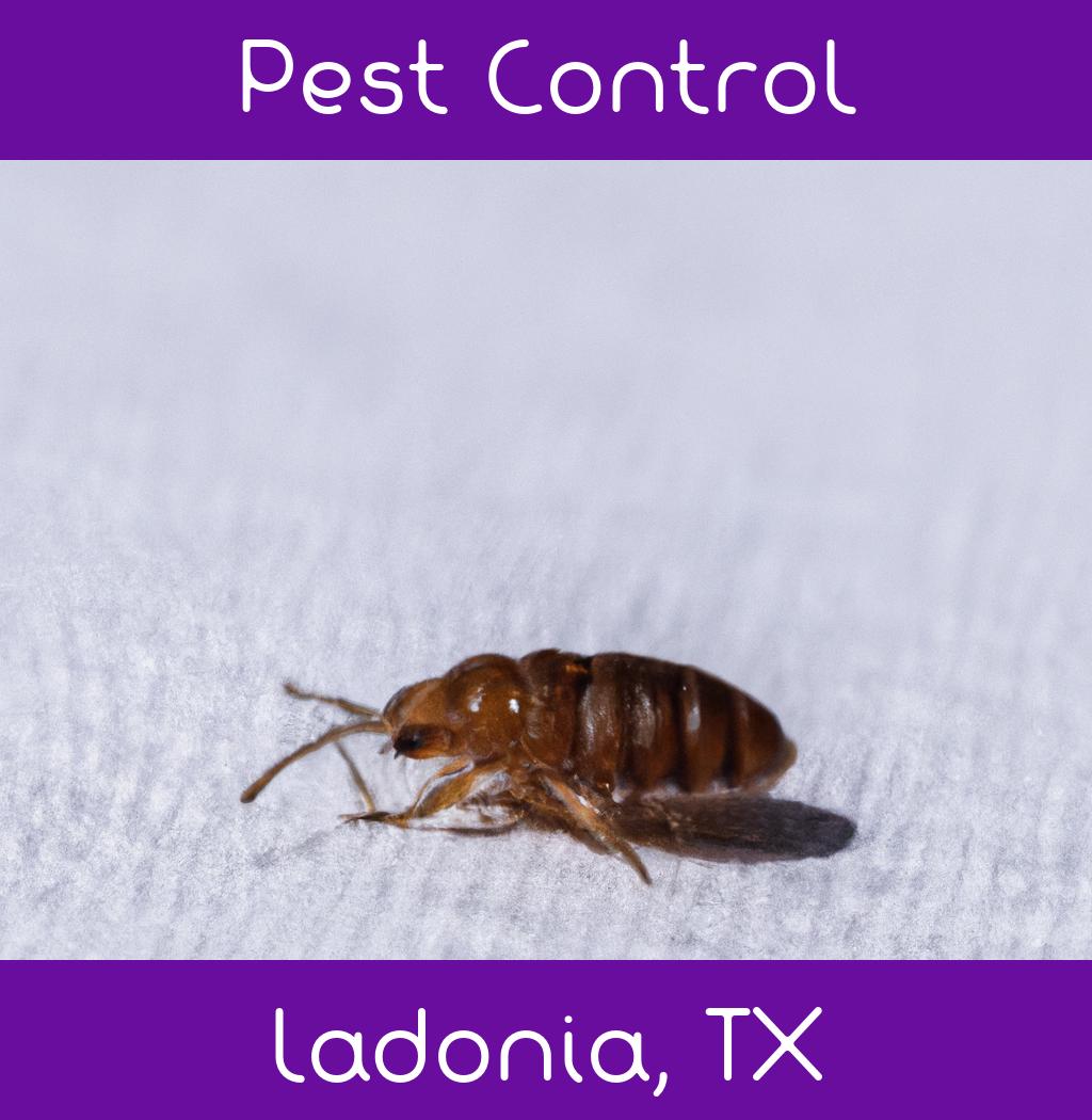 pest control in Ladonia Texas