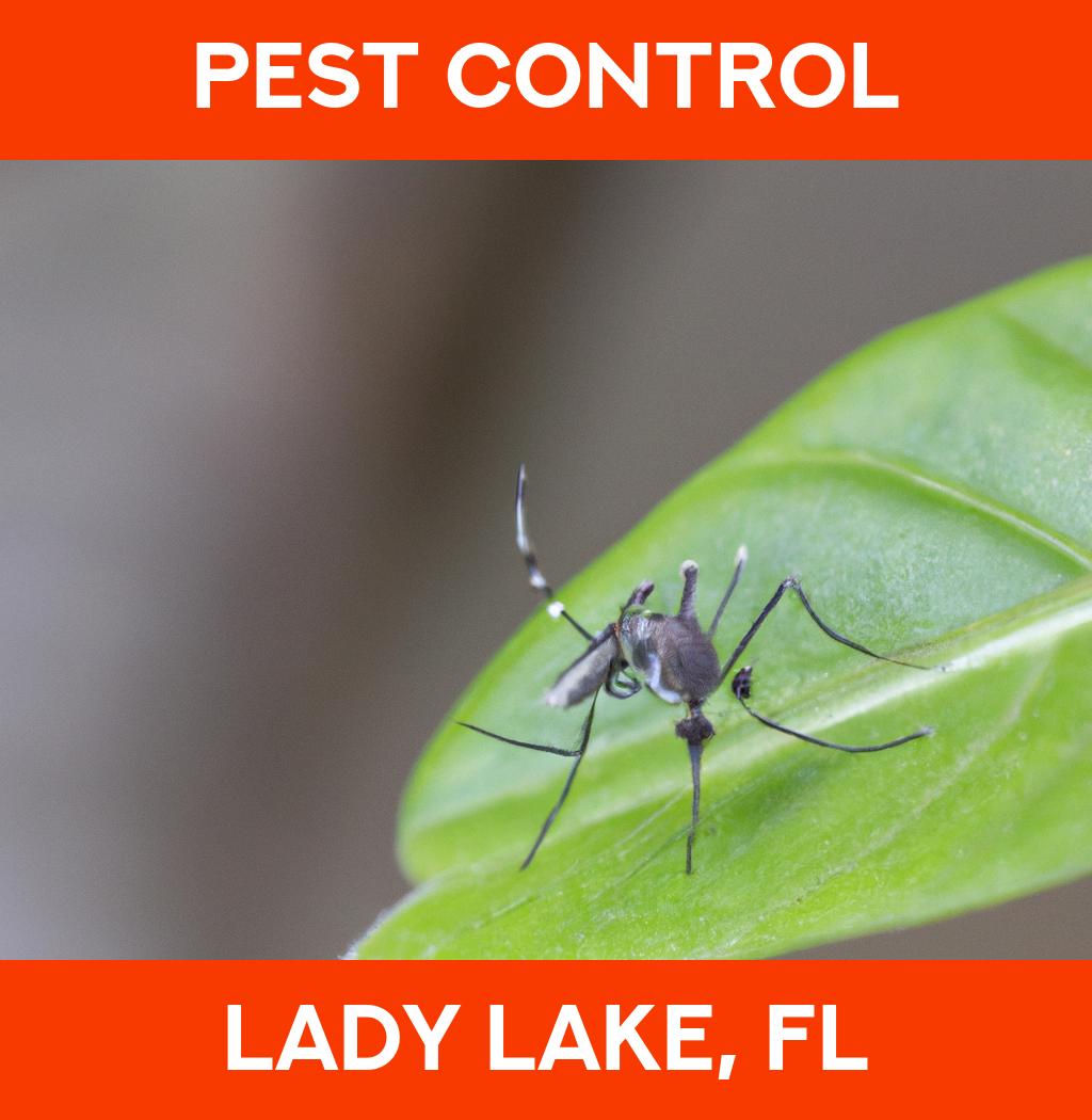 pest control in Lady Lake Florida