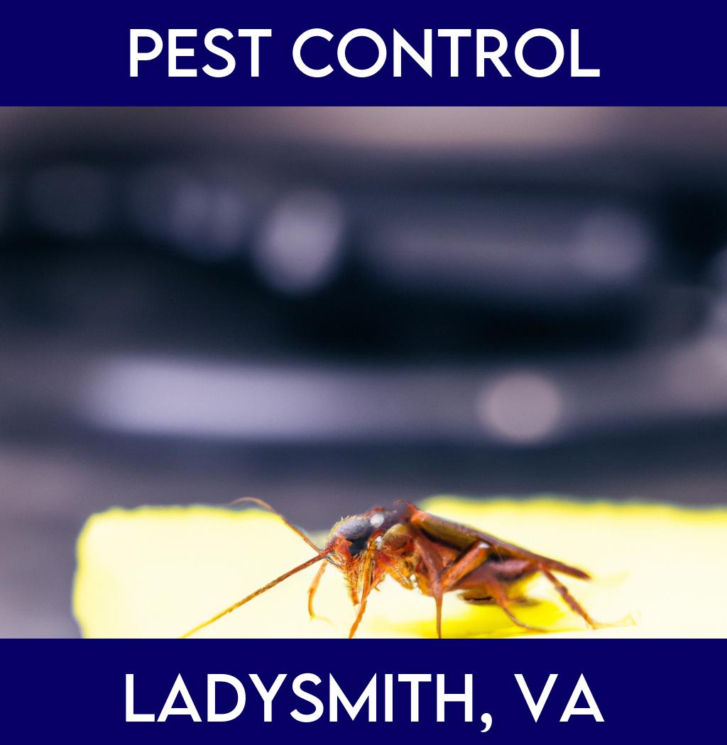 pest control in Ladysmith Virginia