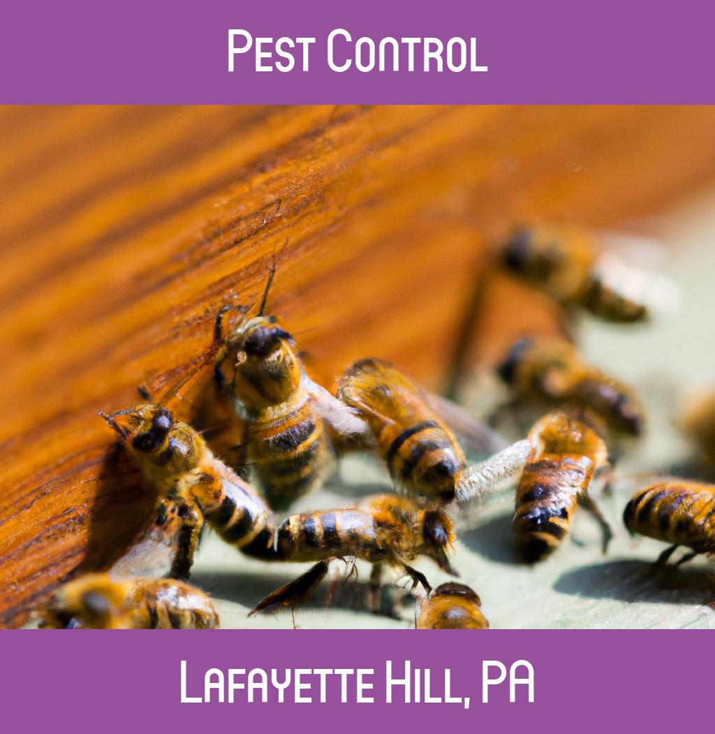 pest control in Lafayette Hill Pennsylvania