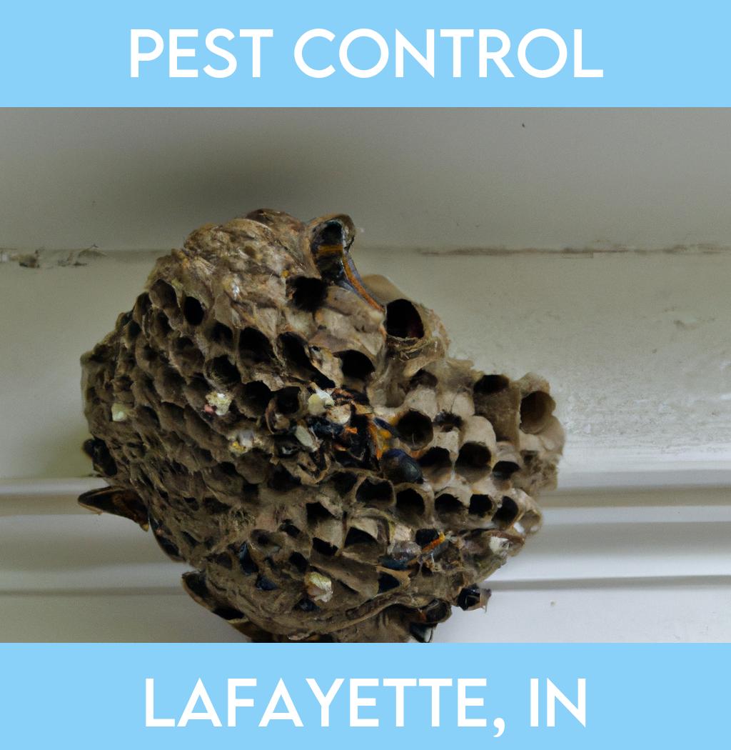 pest control in Lafayette Indiana