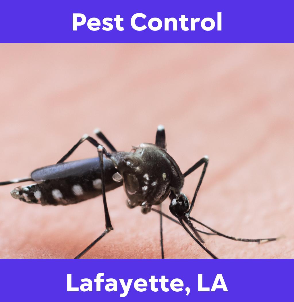 pest control in Lafayette Louisiana