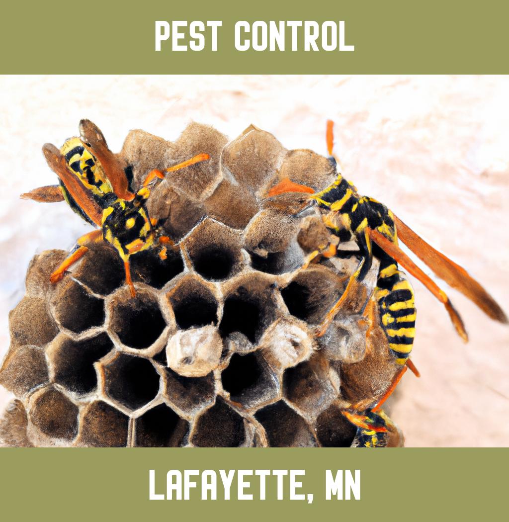 pest control in Lafayette Minnesota