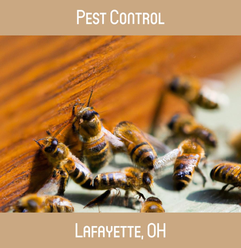pest control in Lafayette Ohio