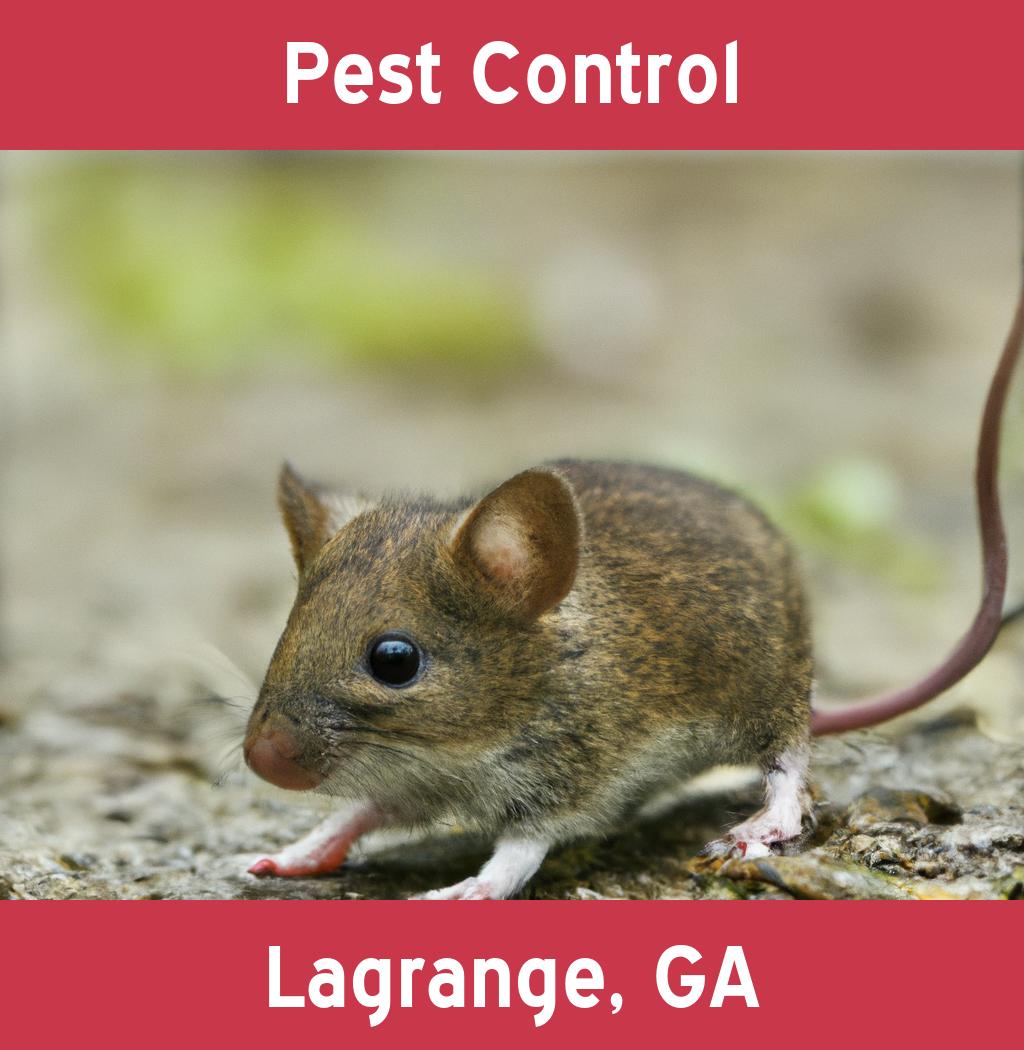 pest control in Lagrange Georgia